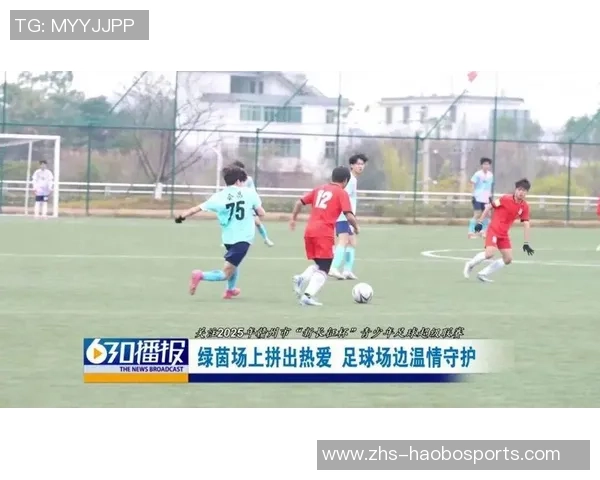 足球的情人：在绿茵场上追逐梦想与爱的交响曲